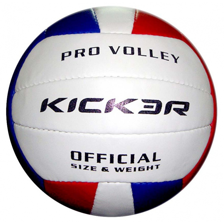 Мяч волейбольный LARSEN VIVA VB ECE-1 N/C фото 1