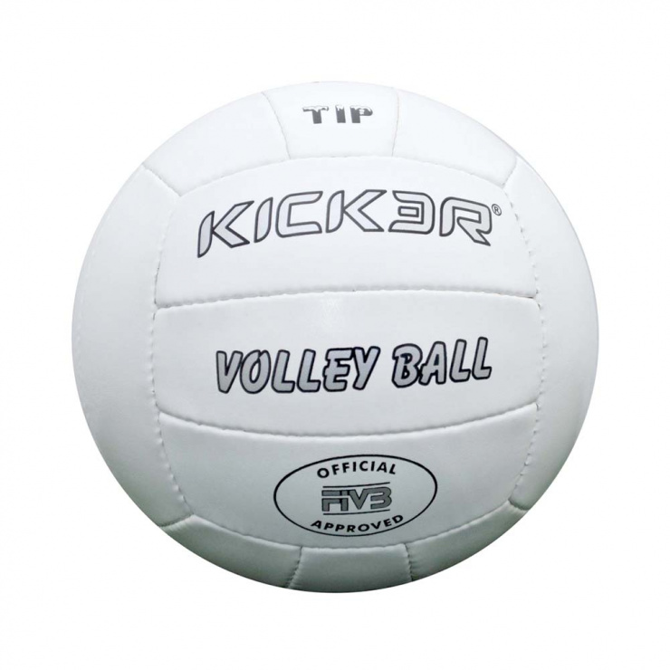 Мяч волейбольный LARSEN Kicker Tip фото 1