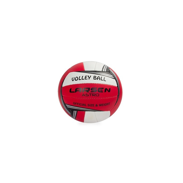 Мяч волейбольный LARSEN Astro фото 1