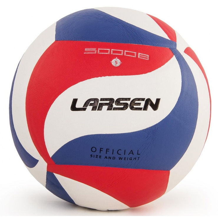 Мяч волейбольный LARSEN VB-ECE-5000B фото 1
