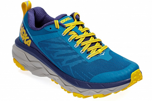 Hoka Challenger Gore Tex. Кроссовки Hoka Gortex. Кроссовки Hoka мужские синие. Blue Lock кроссовки.